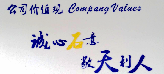 读公司价值观